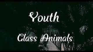 Youth-Glass Animals (Lyrics)