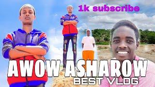 AWOW ASHAROW! | BEST VLOG STYLE PICTURES