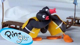 Pingu Gets Competitive  | Pingu - Official Channel | Cartoons For Kids