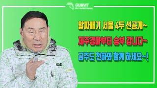 [서울 경마] 2025년 3월 31일 천하의 새벽조교