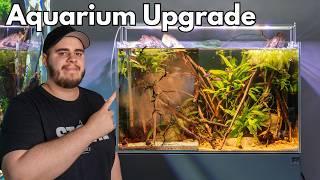 Neuer Look für mein 60cm Biotop Style Aquarium!