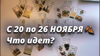 20 по 26 НОЯБРЯ  Что ИДЁТ?