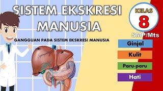 MATERI IPA KELAS 8 : SISTEM EKSKRESI MANUSIA