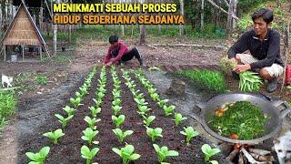 Tanam sawi pakcoy, Masak sayur, Panen kangkung tumpang sari kacang panjang, kehidupan dihutan  CR-70