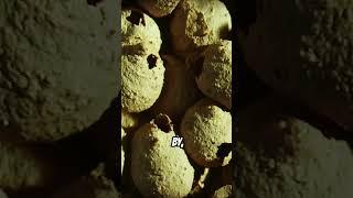 Wasp Crafts Deadly Clay Nests!