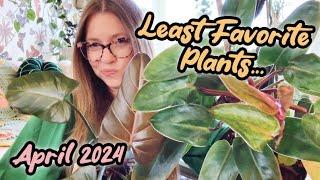 April 2024 UN-FAVORITES | 4 Plants I’m NOT Enjoying At The Moment! | Philodendron