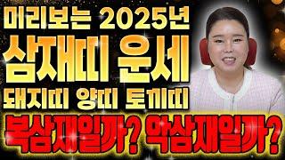 {2025년 삼재특집} 돼지띠,토끼띠,양띠 복삼재일까?악삼재일까? 미리알아야 대비할수 있습니다!