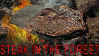 STEAK! In the WILDERNESS FOREST! (ON A ROCK!) asmr silent