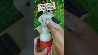 how to protect from dengue and malaria| how to get protection for whole family| #greeneem #ytshorts