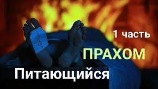 Питающийся ПРАХОМ 1 часть