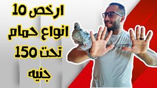 ارخص 10 انواع حمام #تحت 150 جنيه بالمواصفات والاسعار