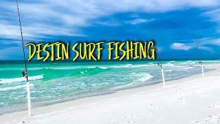 Surf Fishing Destin for Multiple species - DELICIOUS POMPANO Catch and Cook!