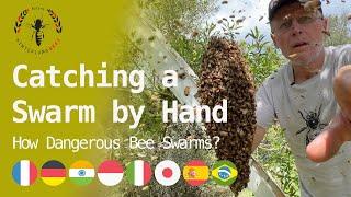 I Caught a Swarm of Bees With My Bare Hands