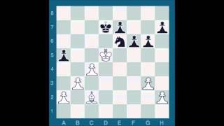 ChessMaster GME: Waitzkin Vs. Sarwer J.