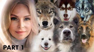 TOP 10 DOGS THAT LOOK LIKE WOLVES - PART 1