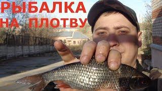 РЫБАЛКА на ПЛОТВУ. Собака съела улов.