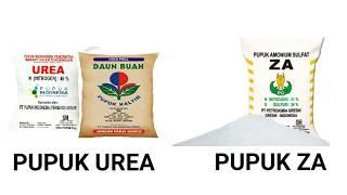 Perbedaan Pupuk Urea Dengan Pupuk ZA