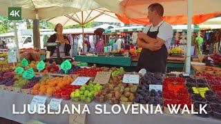 Explore Slovenia's Streets,Markets & Landmarks|Ljubljana Slovenia 4K Walking Tour | UHD 60fps