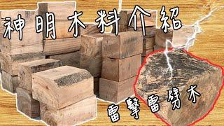 神明料介紹 _ 馬來樟、台灣香樟