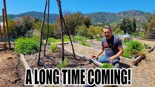 Planting the Vegetable Garden