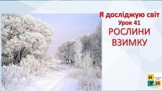 Я досліджую світ  2 клас Урок 41 РОСЛИНИ ВЗИМКУ Жаркова