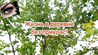 Мои 6 соток. Переезд , не все так радужно, как кажется!