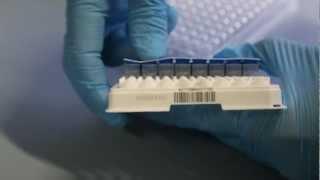 TRANSIL screening assays: supernatant sampling