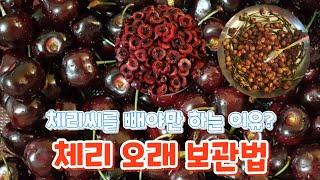 체리 오래 보관법/체리씨를 빼야만 하는 이유?