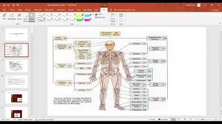 Musculoskeletal system Full Lecture in One Shot| Dr Dipen Lama