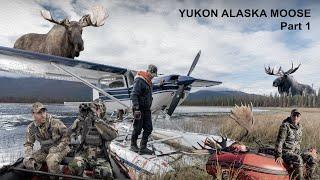 Alaska-Yukon Moose in the Rut Part 1 of 2 | Greg McHale's Wild Yukon