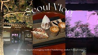 【Vlog】2泊3日韓国旅行️グルメ・カフェ️ 明洞|安国|広蔵市場|南大門市場|永登浦