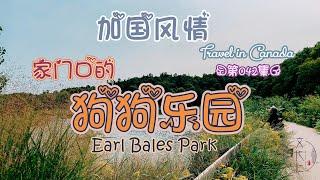 家门口的狗狗乐园~Earl Bales Park~“加国风情”的第42期节目！一年四季都适合逛的公园~不用拴绳的狗狗集散地~dog's paradise~#文化仁~#SmartNuts