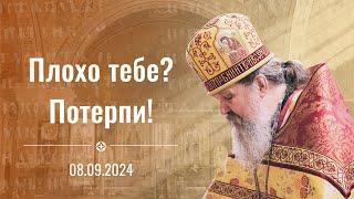 "Плохо тебе? Потерпи!". Проповедь о. Андрея Лемешонка 8 сентября 2024 г.