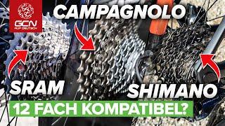 12 Schaltgruppen Kompatibel Untereinander? Shimano, SRAM Und Campagnolo Im Test