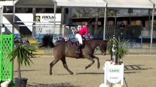 Vanda Cavair CSI YH 7yo Mijas, Spain