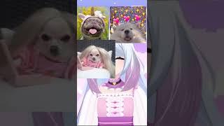 I HATE DOGS! #vtuber #meme #envtuber