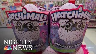 The Hatchimal: This Toy Craze Is Taking Over America | NBC Nightly News