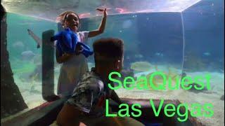 SeaQuest Aquarium Las Vegas Let’s Pogo Pass