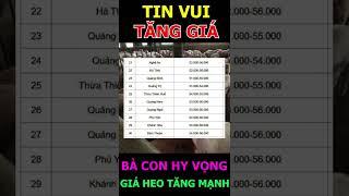 HEO ĐANG TĂNG GIÁ #shorts