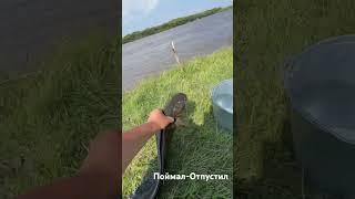 Рыбалка в Бурятии. Сом. #fishing #рыбалка