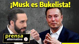 Elon Musk y Bukele encienden las redes contra EEUU