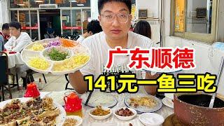 广东顺德必吃鱼生，一鱼三吃“生鱼片+鱼皮粥+清蒸鱼骨”！整条鱼才141元真便宜！【麦总去哪吃】