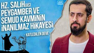 Hz. Salih (as) Peygamber ve Semud Kavminin İnanılmaz Hikayesi - Devenin Katledilmesi | Mehmet Yıldız