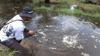 Di luar Dugaan Paritan ini Jadi Sarang Ikan Gabus Babon