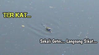 Pelampung Getar Langsung Sikat||Mancing Ikan Belanak