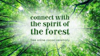 Connect with the Spirit of the Forest - Join Our Free Online Cacao Ceremony