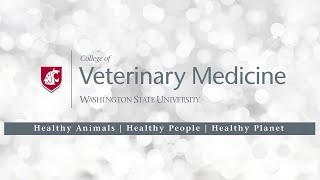 A Virtual Tour Through WSU's Veterinary Teaching Hospital