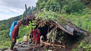 Nepali Mountain Village Life || Rainy Day || Shepherd Life || Organic Shepherd Food || Hari Official