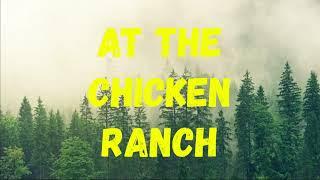 At The Chicken Ranch | No Copyright Music