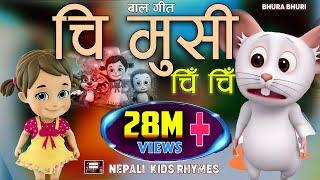 Chi Musi Chi Chiचि मुसी चि चि|Popular Rhymes For Children|Nepali Nursery Rhymes|Baby Song|बाल गीतnew